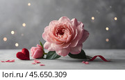 Minimalism. A beautiful pale pink flower on a gray background. The concept of Valentine's Day, Mother's Day and Women's Day. A copy of the space for the text. Стоковое AI-изображение, AI-художник Photojuli / Фотобанк Лори
