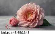 Minimalism. A beautiful pale pink flower on a gray background. The concept of Valentine's Day, Mother's Day and Women's Day. A copy of the space for the text. Стоковое AI-изображение, AI-художник Photojuli / Фотобанк Лори