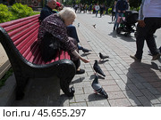 Старенькая женщина кормит голубей (2018 год). Редакционное фото, фотограф Дмитрий Киселёв / Фотобанк Лори