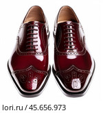 Pair of stylish burgundy wingtip shoes isolated on white background. Стоковое AI-изображение, AI-художник Иван Рябоконь / Фотобанк Лори