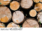 Дрова. Дрова для камина. Дрова для костра. Стоковое фото, фотограф Игорь Кузьменко / Фотобанк Лори