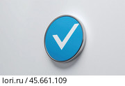 Blue checkmark symbol on white background for digital approval and validation. Стоковое AI-изображение, AI-художник PlatypusMi86 / Фотобанк Лори