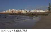 Walled city of Essaouira in Morocco and seagulls (2018 год). Стоковое видео, видеограф Михаил Коханчиков / Фотобанк Лори