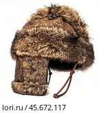 Fur trapper hat with ear flaps providing warmth and protection. Стоковое AI-изображение, AI-художник Иван Рябоконь / Фотобанк Лори