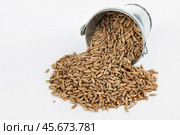 Rye grains spilling out of bucket. Стоковое фото, фотограф Александр Собко / Фотобанк Лори