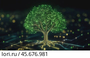 Glowing green digital tree with connected network branches and root-like circuits on a dark background. Concept of technology, sustainability, and data integration. Стоковое AI-видео, аниматор Башкирова Анна / Фотобанк Лори