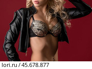 Sexy blonde in lingerie and jacket view. Стоковое фото, фотограф Гурьянов Андрей / Фотобанк Лори