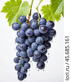 Bunch of ripe grapes with water droplets isolated on white background. Generative AI. Стоковое AI-изображение, AI-художник Андрей Аркуша / Фотобанк Лори