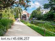Ботанический сад МГУ "Аптекарский огород" (2020 год). Редакционное фото, фотограф Лариса Гордеева / Фотобанк Лори