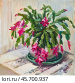 Flowering Decembrist. Oil painting on canvas by artist Inna Prityazhnyuk. Стоковая иллюстрация, иллюстратор Сергей Пристяжнюк (Serg Zastavkin) / Фотобанк Лори