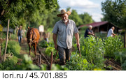 Elderly farmer works in a lush garden while others tend crops and a horse walks nearby under a clear sky. Стоковое AI-изображение, AI-художник Сергей Толмачёв / Фотобанк Лори