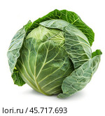 Fresh green cabbage with intact leaves on white background. Стоковое AI-изображение, AI-художник Иван Рябоконь / Фотобанк Лори