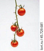 Cherry tomatoes, isolated on white background. Generative AI. Стоковое AI-изображение, AI-художник Андрей Аркуша / Фотобанк Лори