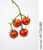 Cherry tomatoes, isolated on white background. Generative AI. Стоковое AI-изображение, AI-художник Андрей Аркуша / Фотобанк Лори
