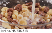 Breakfast Chocolate corn cereal in a bowl with milk. Стоковое видео, видеограф Андрей Армягов / Фотобанк Лори