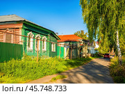 Грунтовая дорога в селе летом вдоль деревенских домов (2024 год). Редакционное фото, фотограф Илья Старков / Фотобанк Лори