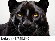 Чёрная пантера с выразительными глазами на белом фоне, хищник крупным планом. Стоковое AI-изображение, AI-художник Анжелика Самсонова / Фотобанк Лори