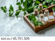 Homeopathic granules, natural organic essence and healing herbs on a wooden tray. Alternative medicine and homeopathy. Bottle with eco aroma oil, small crystal bio pills globules. Copy space for text. Стоковое AI-изображение, AI-художник Марина Демидюк / Фотобанк Лори