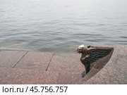 Грифон на набережной Невы. Санкт-Петербург (2010 год). Стоковое фото, фотограф Александр Алексеев / Фотобанк Лори