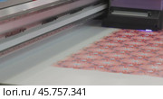 Modern Digital Large format UV printer. Printing production technologies. UV pinning is the process of applying a dose of low intensity ultraviolet light to a UV curable ink. Стоковое видео, видеограф Андрей Армягов / Фотобанк Лори