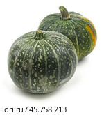 Two green pumpkins with speckled rind resting on white background. Стоковое AI-изображение, AI-художник Иван Рябоконь / Фотобанк Лори