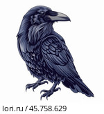 Majestic raven standing proudly, a symbol of mystery and wisdom. Стоковое AI-изображение, AI-художник Иван Рябоконь / Фотобанк Лори