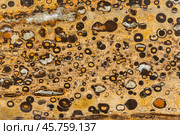 Lapia rhyolite, polished plate. Close up background photo texture. Стоковое фото, фотограф EugeneSergeev / Фотобанк Лори