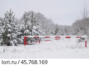 Зима. Закрытый шлагбаум на въезде в зимний лес. Стоковое фото, фотограф Дмитрий Сакретарев / Фотобанк Лори