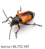 Colorful frog legged leaf beetle showing its vibrant colors on white background. Стоковое AI-изображение, AI-художник Иван Рябоконь / Фотобанк Лори