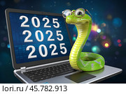 Symbol of 2025 green snake on laptop keyboard with numbers on screen. Стоковое AI-изображение, AI-художник Сергей Комаров / Фотобанк Лори