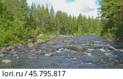 Landscape with river and forest in Karelia. Стоковое видео, видеограф Михаил Коханчиков / Фотобанк Лори