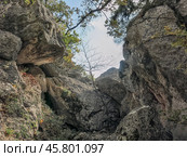 Массандровские гроты. Ялта. Крым. Стоковое фото, фотограф Татьяна Т / Фотобанк Лори