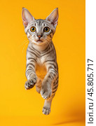 Portrait of a jumping Egyptian Mau cat on a yellow background. Стоковое AI-изображение, AI-художник ArtVladZ / Фотобанк Лори