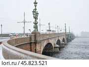 Санкт-Петербург. Троицкий мост. Ненастная погода (2017 год). Стоковое фото, фотограф Александр Алексеев / Фотобанк Лори
