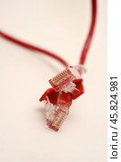 Red internet cable on a white background. The RJ-45 connector. Стоковое фото, фотограф Valeriy Lushchikov / Фотобанк Лори