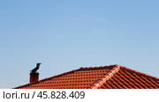 Background - red tiled roof with chimney, weather vane on chimney, blue sky. Стоковое фото, фотограф Татьяна Лобанова / Фотобанк Лори