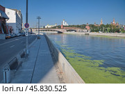 Летний вид с Раушской набережной на Москворецкую набережную и Московский Кремль. Москва, Россия (2024 год). Редакционное фото, фотограф Елена Коромыслова / Фотобанк Лори