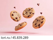 Cookies Levitation. Creative food template. Chocolate chip cookie bursting flying in midair on a pink color background. Magazine, banner, advertisement. Copy text space. Falling broken biscuits. Стоковое AI-изображение, AI-художник Марина Демидюк / Фотобанк Лори