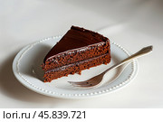 Piece of Sacher torte on white Plate. Brown portion slice of famous Sachertorte chocolate cake with apricot jam against white background. Typical Austrian original chocolate sponge cake dessert. Стоковое AI-изображение, AI-художник Марина Демидюк / Фотобанк Лори