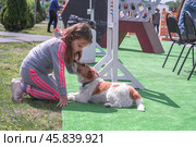 Маленькая девочка гладит собаку на площади города Пензы на фестивале "Джаз-Мэй" (2019 год). Редакционное фото, фотограф RF / Фотобанк Лори