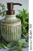 Elegant ceramic soap dispenser with fresh herbs on grey surface. Стоковое AI-видео, аниматор Юрий Поздников / Фотобанк Лори