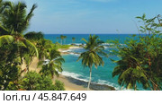 Sea waves on tropical beach and palms (2023 год). Стоковое видео, видеограф Михаил Коханчиков / Фотобанк Лори