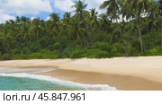 Sea waves on tropical beach and palms (2023 год). Стоковое видео, видеограф Михаил Коханчиков / Фотобанк Лори