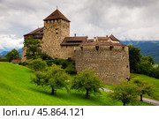 Vaduz castle with Alps mountains in background. Стоковое фото, фотограф Яков Филимонов / Фотобанк Лори