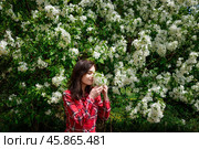 A young Russian brunette woman in a red plaid shirt smells a blooming apple tree branch in spring, surrounded by lush white blossoms in a peaceful garden. Стоковое фото, фотограф Татьяна Терехина / Фотобанк Лори