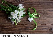 Festive alstroemeria on wooden table close-up. Стоковое фото, фотограф Татьяна Ляпи / Фотобанк Лори