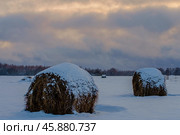 Рулоны прессованного сена на Бородинском Поле поле зимой. Стоковое фото, фотограф glokaya_kuzdra / Фотобанк Лори