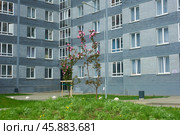 Двор и новостройки многоэтажных домов в городе Екатеринбурге по улице Дорожной 14. Жилищный комплекс "Весна". Courtyard and new buildings of multi-storey buildings in Yekaterinburg on Dorozhnaya street 14. Vesna Housing Complex (2022 год). Стоковое фото, фотограф Юрий Карачев / Фотобанк Лори