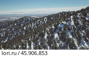Aerial view Atlas mountains with forest at winter. Стоковое видео, видеограф Михаил Коханчиков / Фотобанк Лори