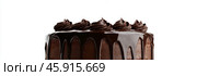 Whole Round Sacher torte wide long banner. Brown Chocolate famous Sachertorte cake with apricot jam on white background. Typical Austrian original brown sponge cake dessert with spreading cocoa glaze. Стоковое фото, фотограф Марина Демидюк / Фотобанк Лори